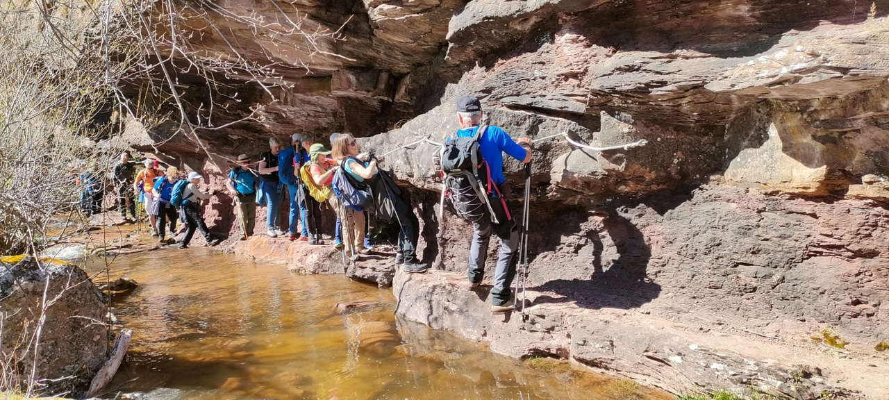 WhatsApp Image 2026-04-08 at 07.40.56 (3)